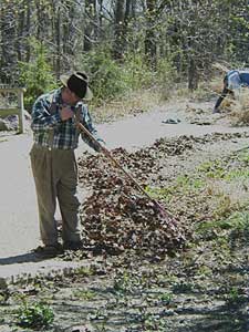 Man raking leaves