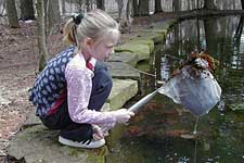 Girl sampling pond water with net